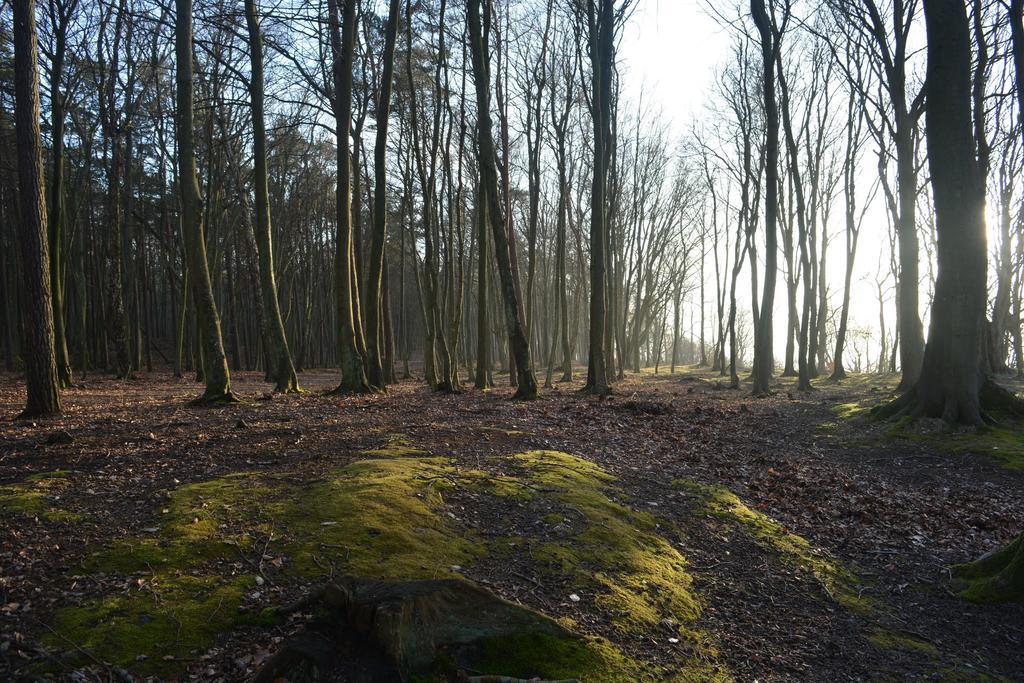 Apartamenty Kotwica Poddabie Esterno foto